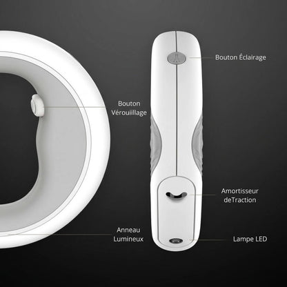 Laisse Mains Libres JUNE 3.0 LED
